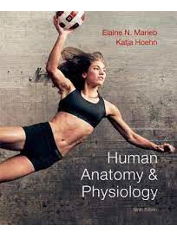 Human Anatomy & Physiology