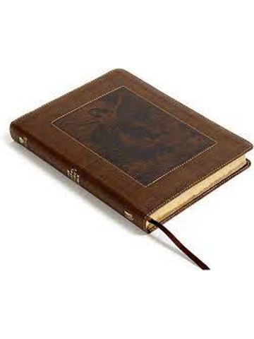 The Gospel Project Bible, Christ Ascending, Brown Leather Touch Imitation Leather – By Holman Bible