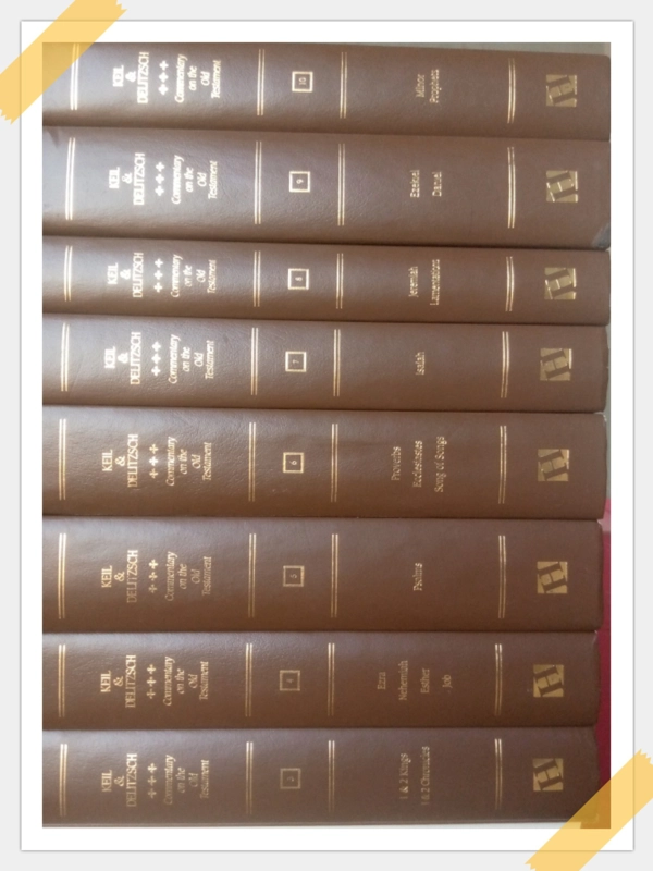 KEIL & DELITZSCH COMMENTARY  10 VOLUMES COMPLETE ON THE OLD TESTAMENT   ERDMANS