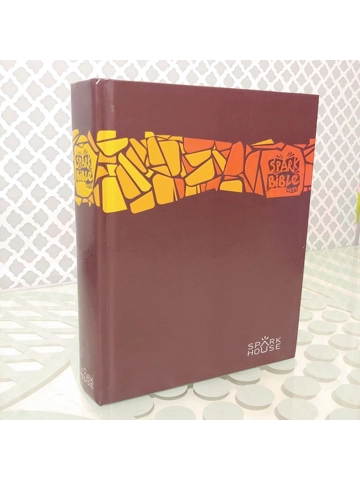 Spark Bible NRSV - Gift Edition is the perfect Designed for kids in grades 3-6, Hardback NRSV
