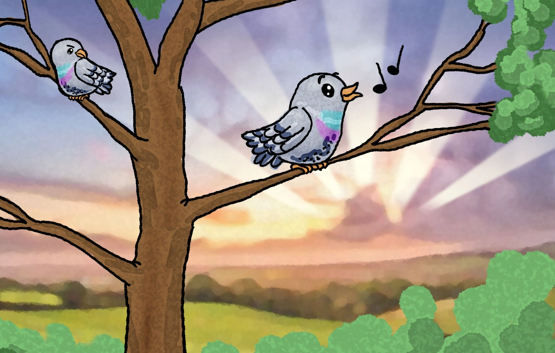 Waking her fellow pigeons with a morning sing