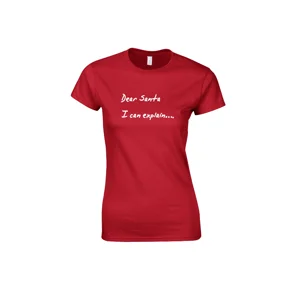 Dear Santa, I Can Explain Ladies T-Shirt