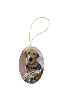 2023 Christmas Ornament