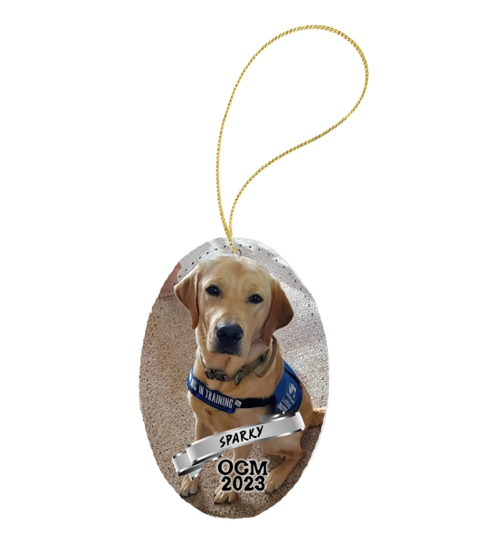 2023 Christmas Ornament