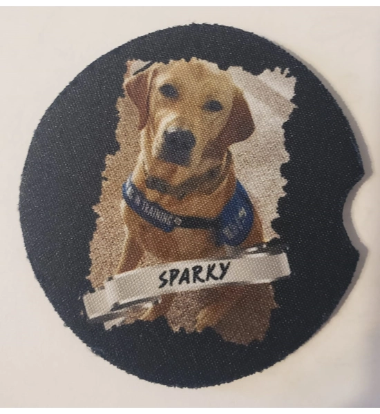 Sparky's Car Coaster