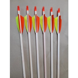1 dozen Premium Matched Arrows 11/32