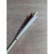 1 Dozen EWBS Standard Arrows