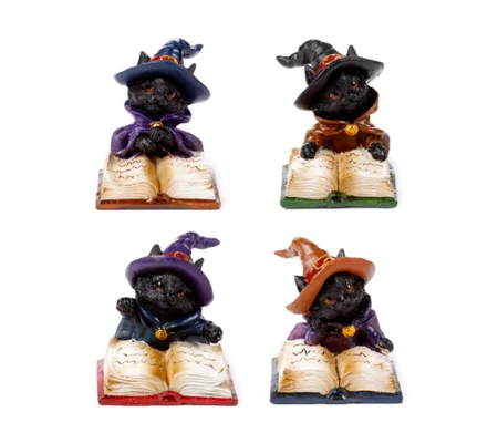 Magical Black Cat Reading from Spell Book