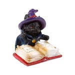 Magical Black Cat Reading from Spell Book