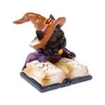 Magical Black Cat Reading from Spell Book