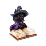 Magical Black Cat Reading from Spell Book