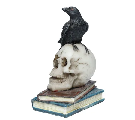 Crow Standing on Skull & Books