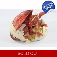 Nemisis Now Hatching Dragon