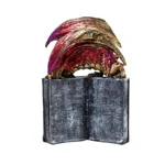 Enchanted Nightmare All Seeing Book Fire Dragon
