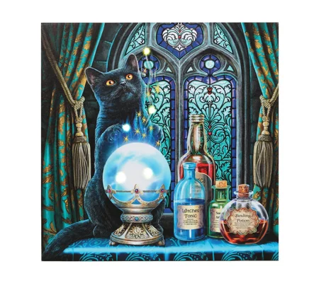 Lisa Parker light up Canvas