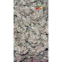 Homegrown Flower