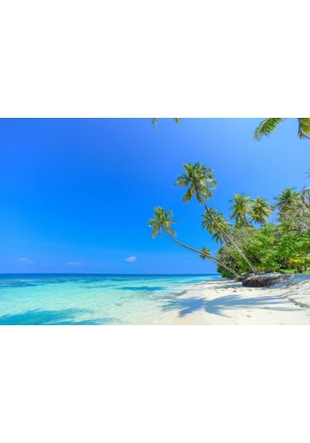 Maldives tin