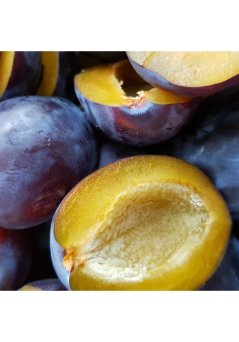 Sugar Frosted Plum tin