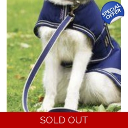 Horseware Amigo Dog Lead