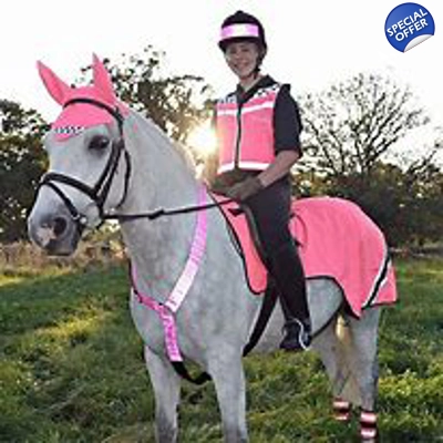 Equisafety POLITE WATERPROOF Ears