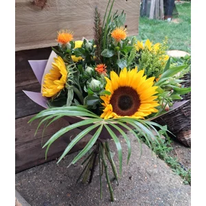Seasonal Sunflower Mix