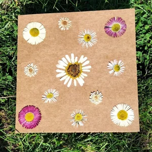 Eco-Friendly Cards - Singles