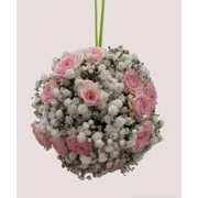 Gypsophila Pomander Ball
