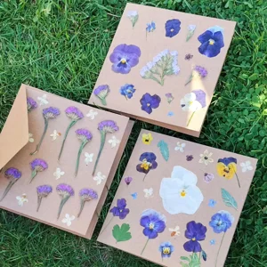 Eco- Friendly Cards - Packs of 3