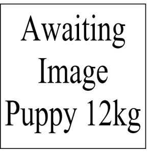 12kg Puppy Large Breed Salmon, Sweet Potato & vegetables