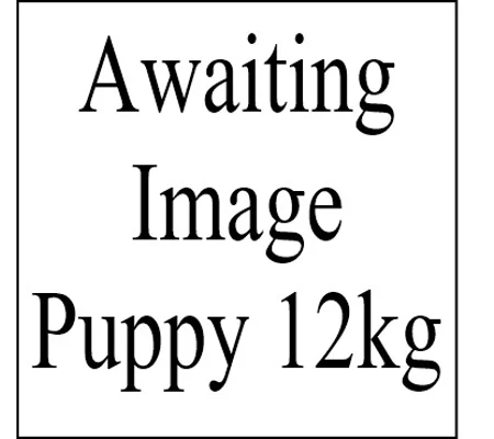 12kg Puppy Large Breed Salmon, Sweet Potato & vegetables