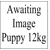 12kg Puppy Large Breed Salmon, Sweet Potato & ve..