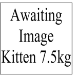 Kitten Grain Free Chicken & Salmon