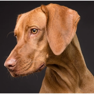 British Grass-Fed Lamb 6kg