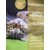 Choice Chicken dry cat food 6kg