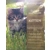 6kg Premium Dry Kitten Food , Chicken with fish ..