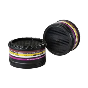 CleanAIR AerGo ABE1 P3 combined Ozone filters