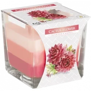 Cactus Flower Fragrance Rainbow Jar Candle