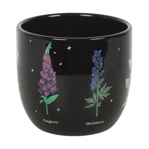 Poisonous Plants Plant Pot