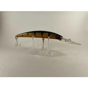 Tiger Orange Belly