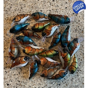 Crawfish