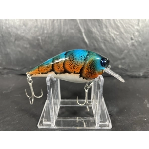 Crawfish Blue Back 2.75”