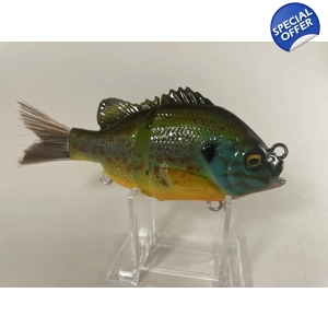Bluegill