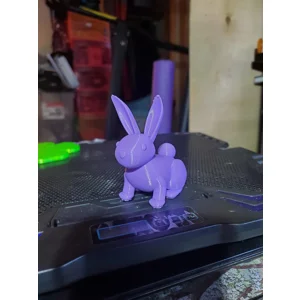Bunny
