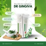 DR Gingiva Fluoride Toothpaste with Natural Herbs
