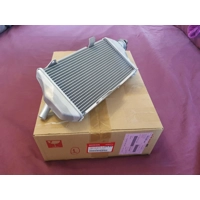 Radiator - CRF300