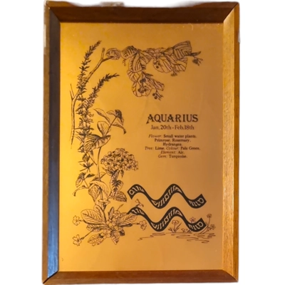 Aquarius