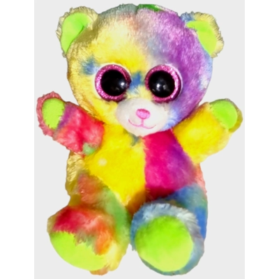 Rainbow Teddy