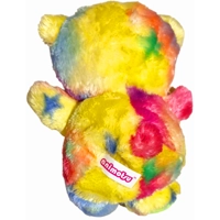 Rainbow Teddy