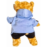 SK8 Teddy Bear