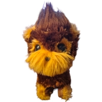 Shaggy Shawn Interactive